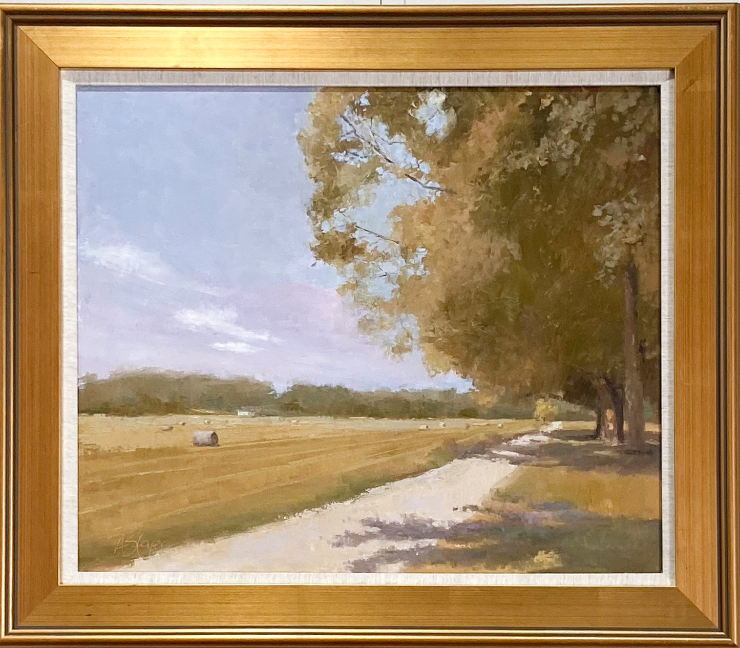 Shaded Drive