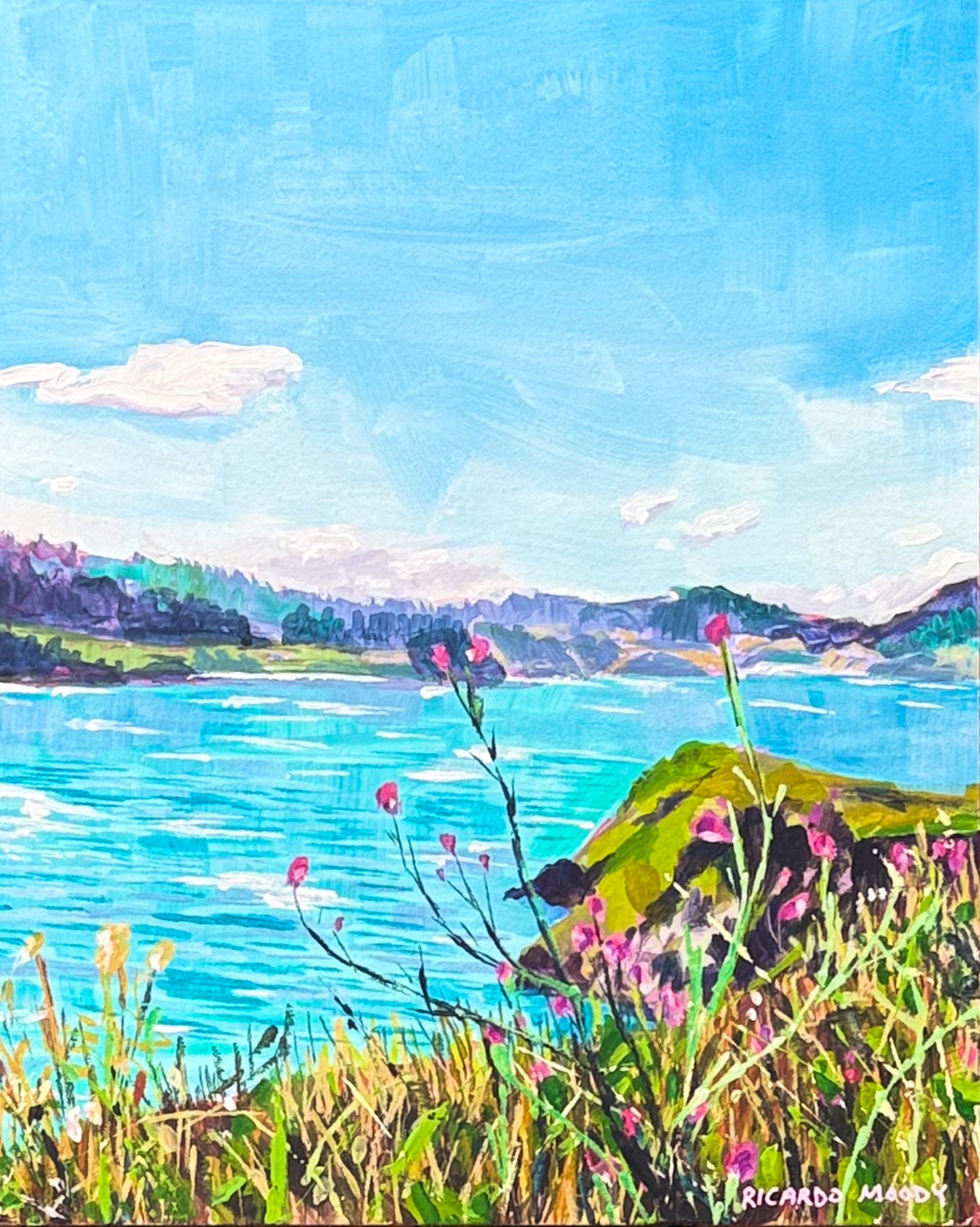 Studies in Solitude - Headlands