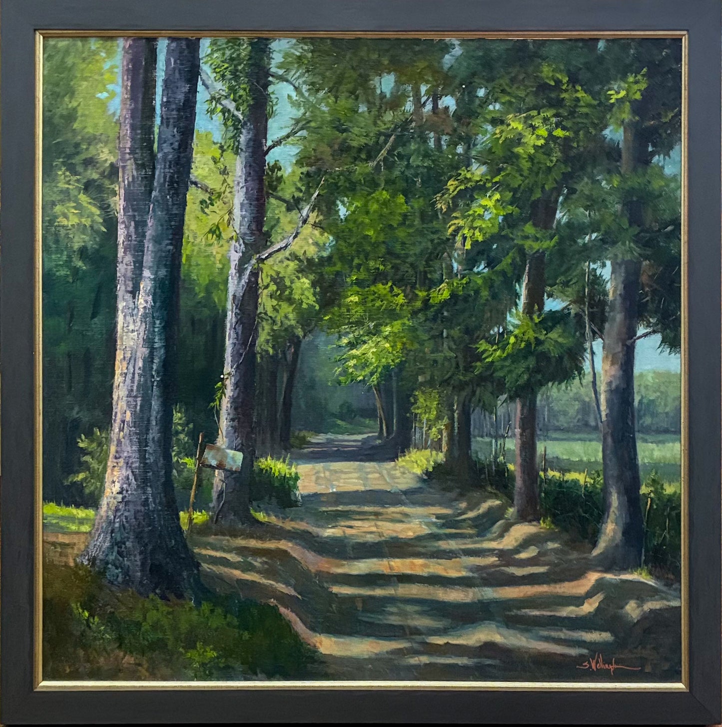Mississippi: In A Certain Light - The Cool Light of Morning