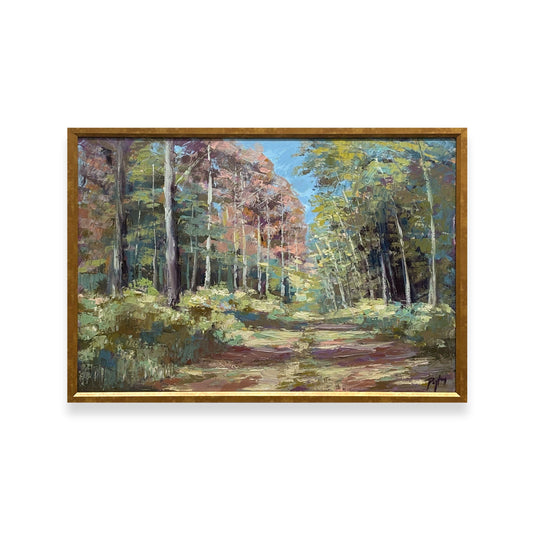 Lessons in Landscapes - Timber Trail