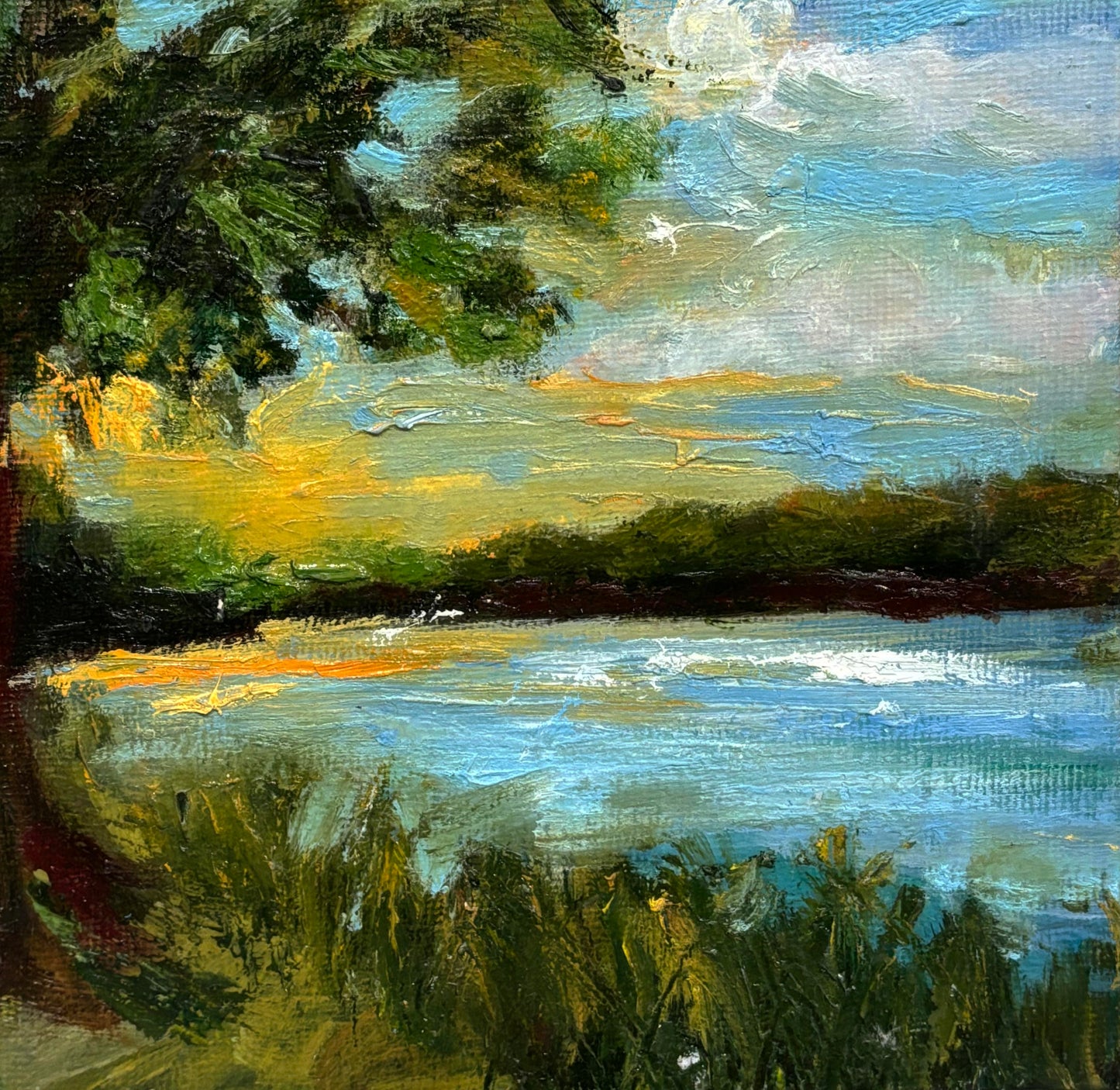 Tree by Water