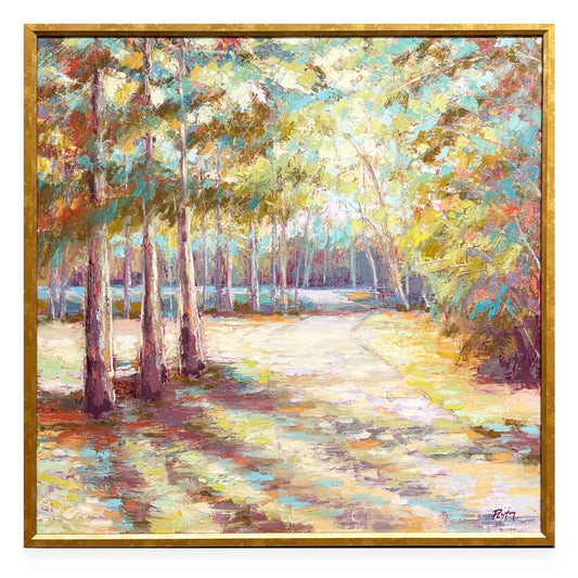 Where the Light Leads