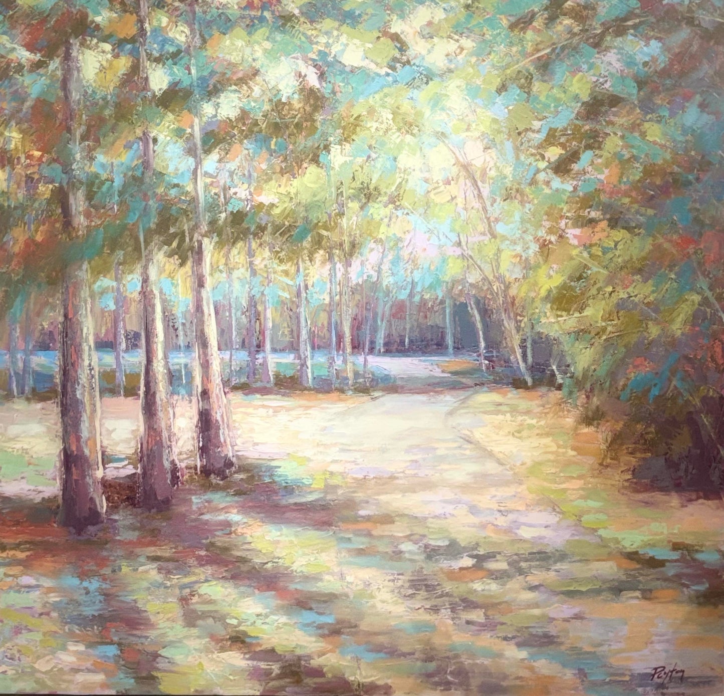 Where the Light Leads