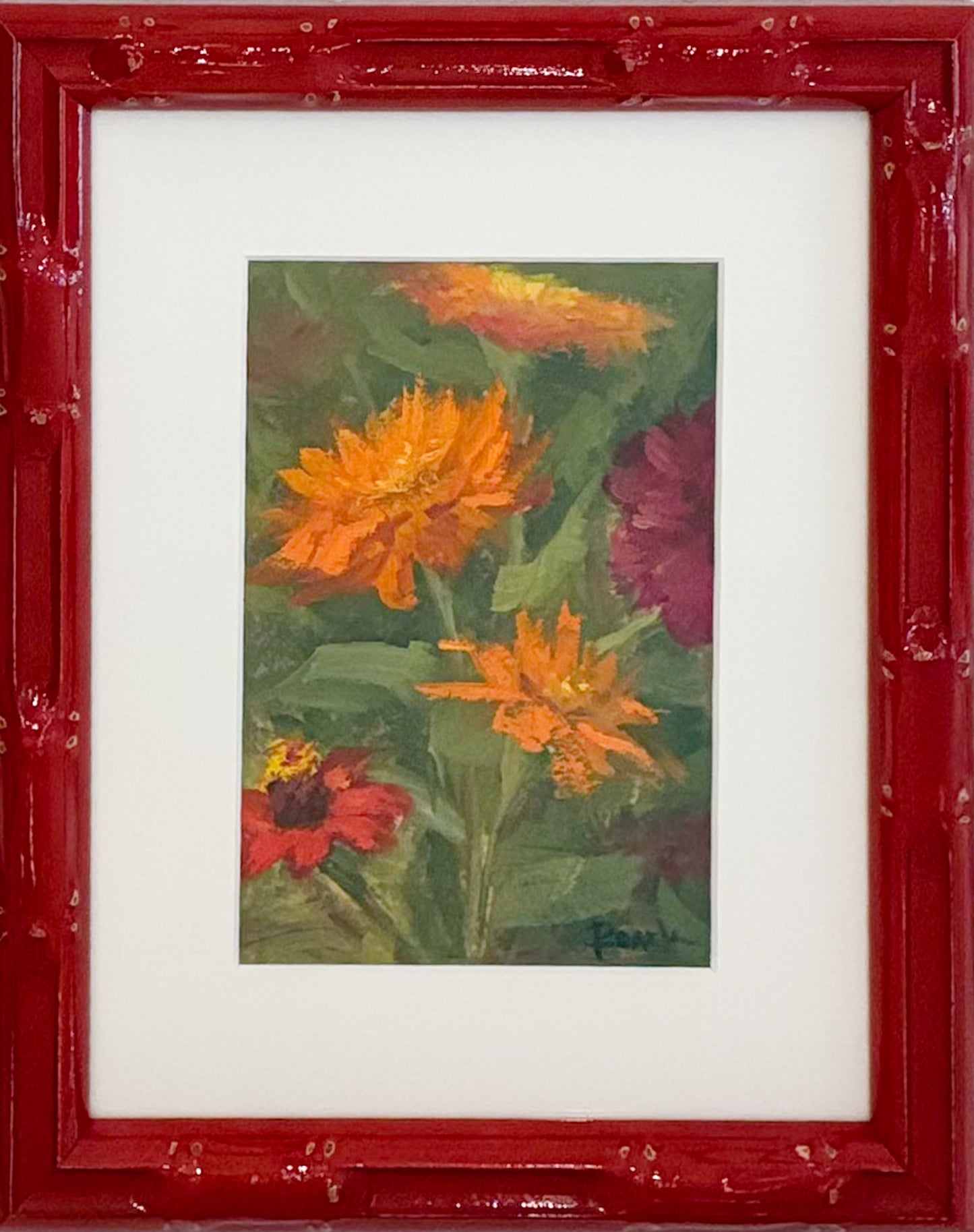 Zinnia I