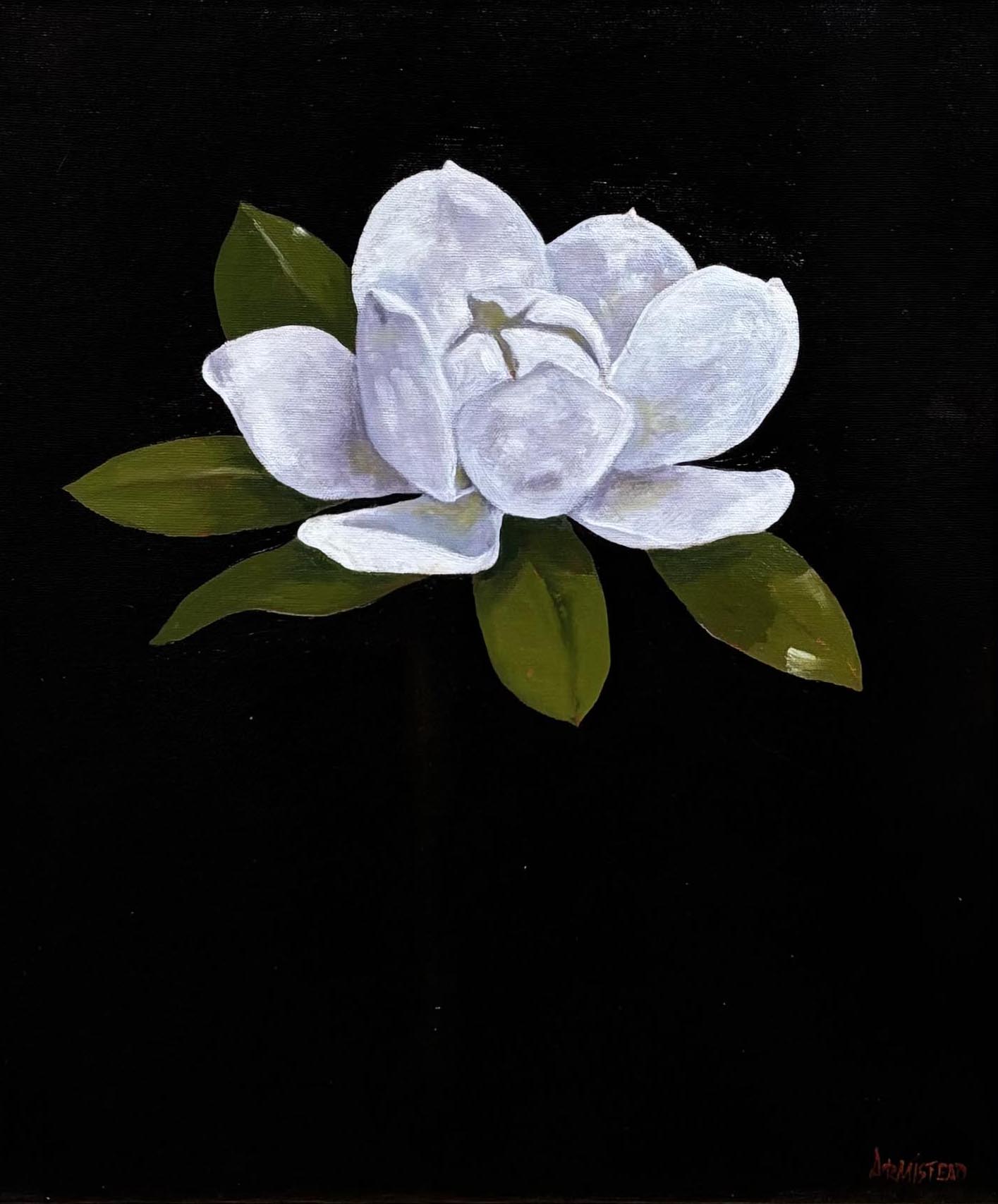 Magnolia