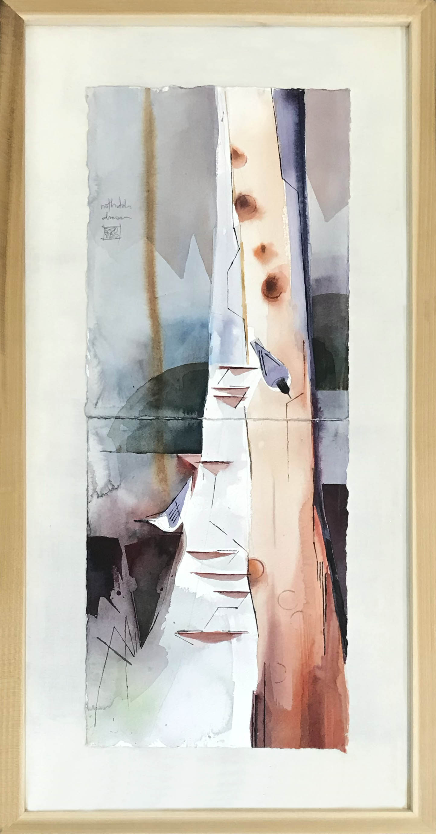 Nuthatch Dream