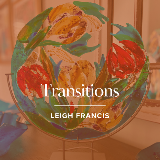 Transitions : Leigh Francis