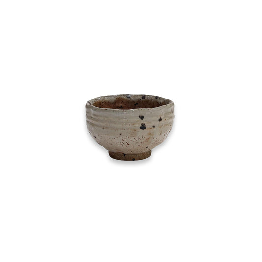 Small Spotted Bowl