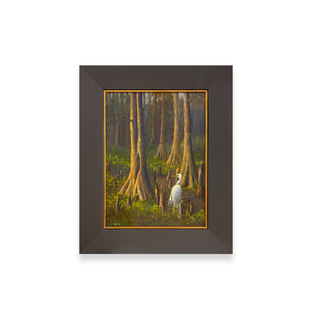 Mississippi: In A Certain Light - A Light In The Stillness