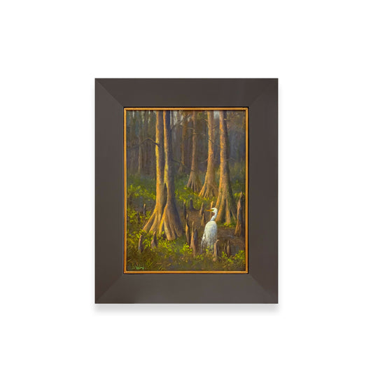 Mississippi: In A Certain Light - A Light In The Stillness