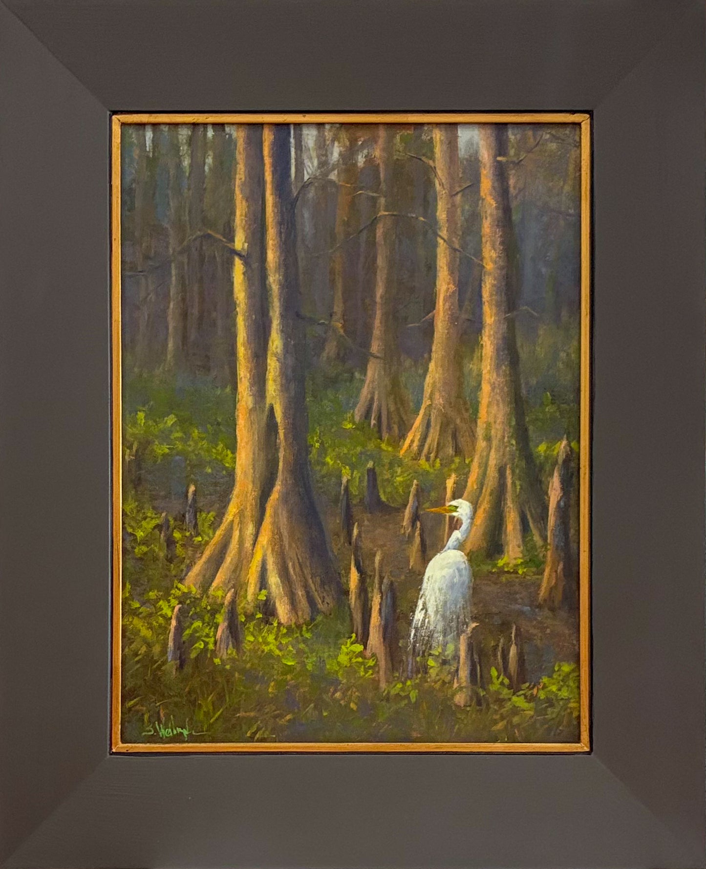 Mississippi: In A Certain Light - A Light In The Stillness