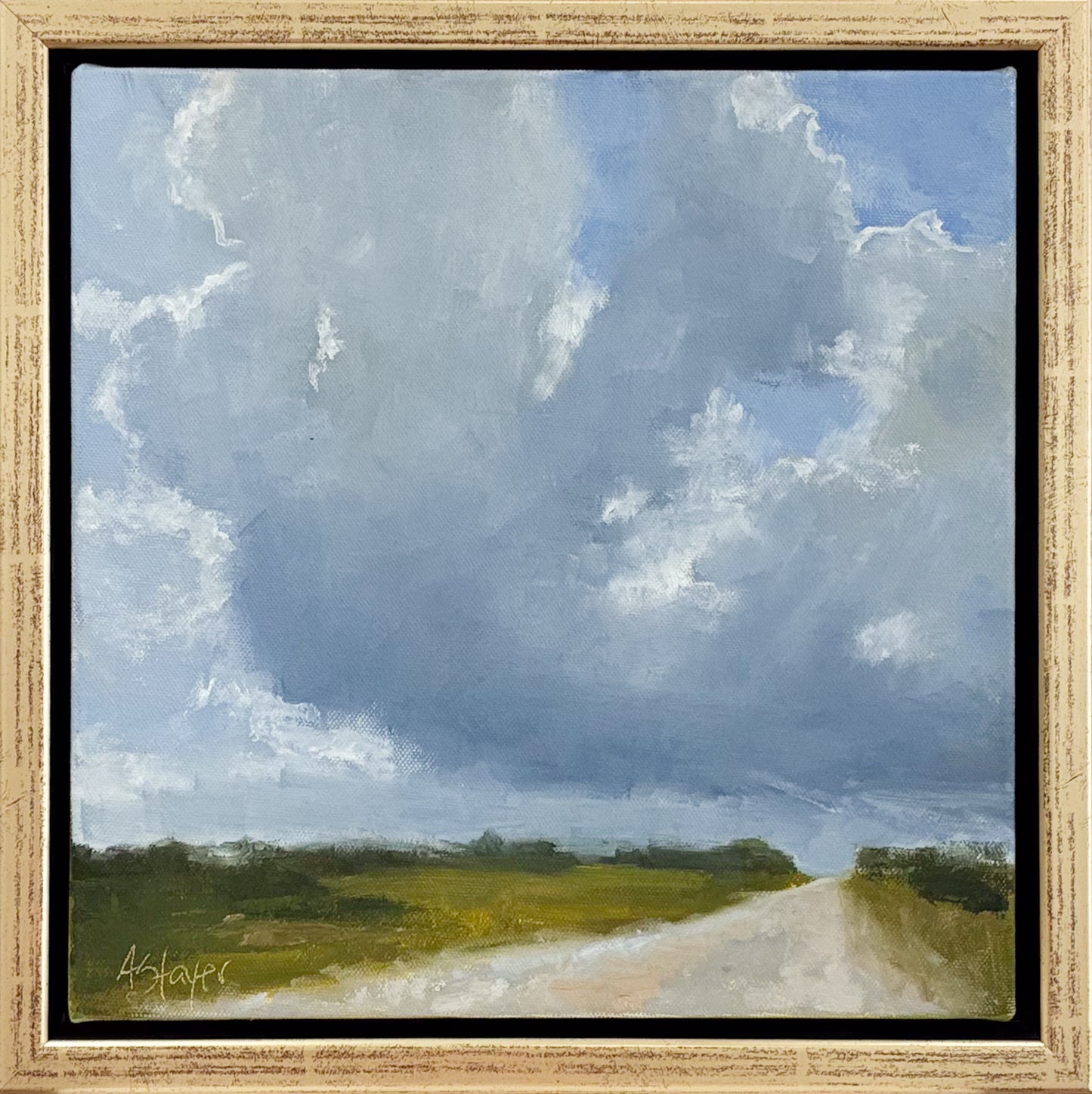Tides, Fields, and Familiar Roads - Afternoon Sky