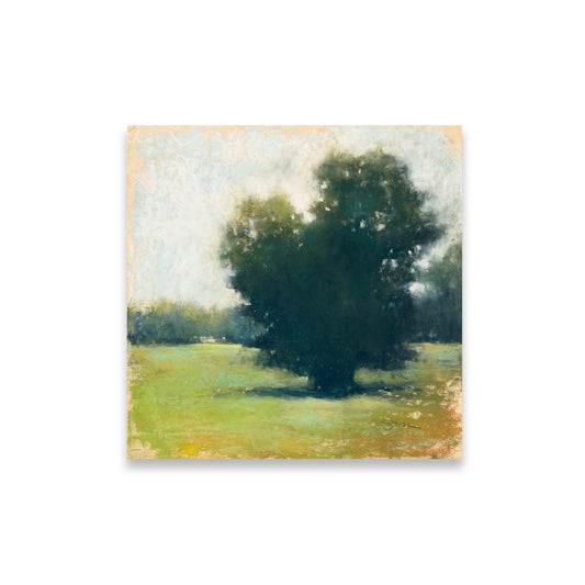 A Place of Stillness - Alone Together