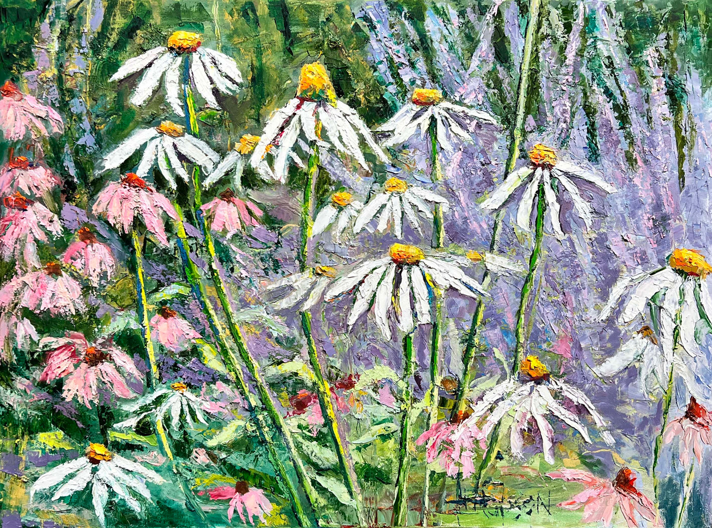 Among The Coneflowers