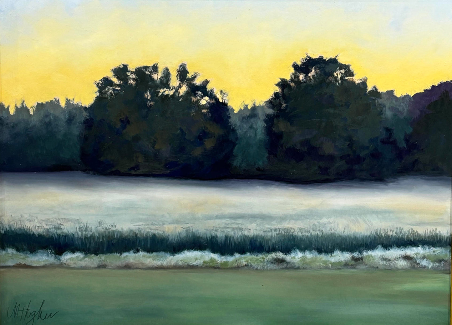 Roadside Mississippi - Backyard at Dawn, Lee County, Mississippi