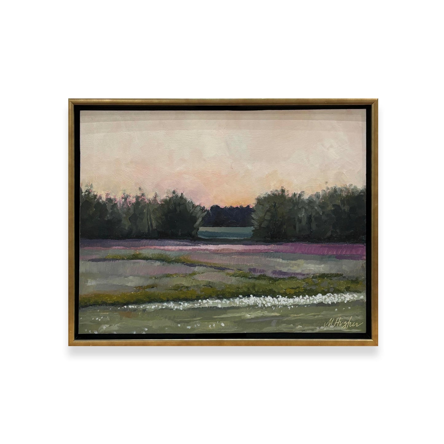 Roadside Mississippi - Backyard at Dusk, Lee County, Mississippi