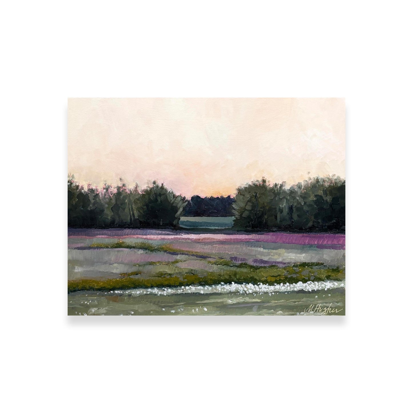 Roadside Mississippi - Backyard at Dusk, Lee County, Mississippi