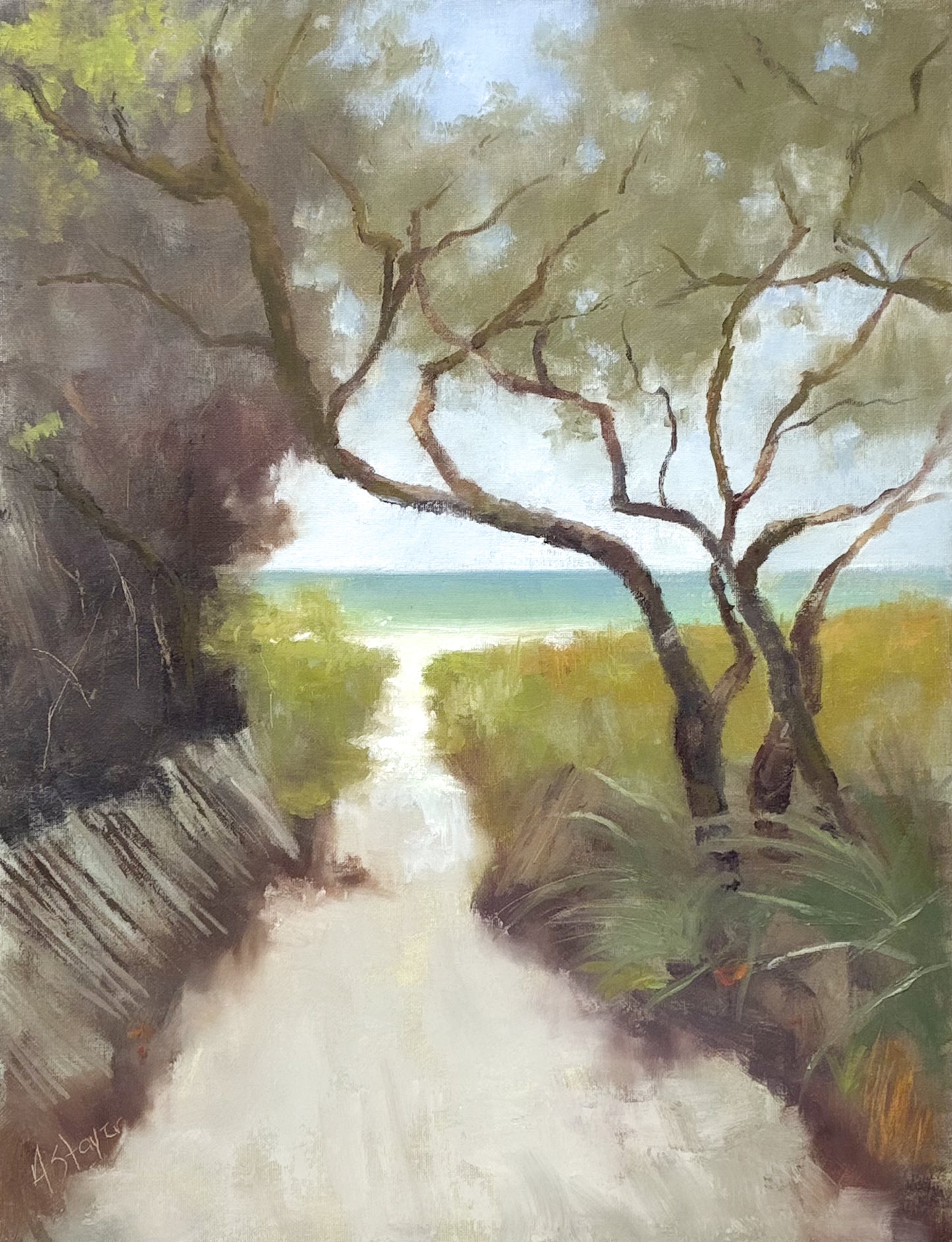 Tides, Fields, and Familiar Roads - Beach Path
