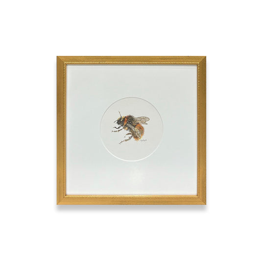 Bee IV