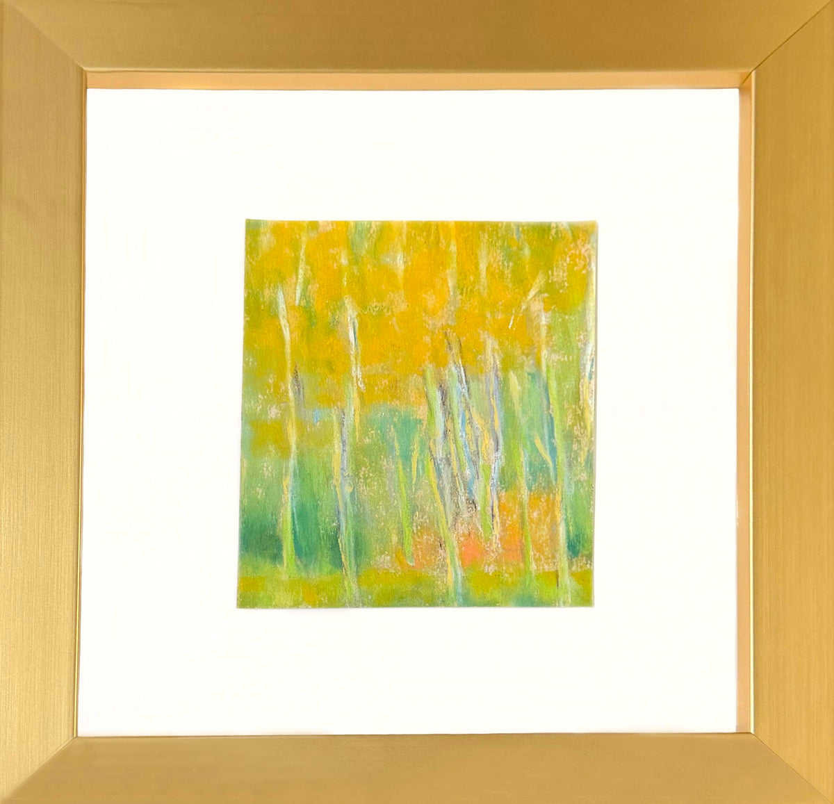Birch Trees With Golden Leaves
