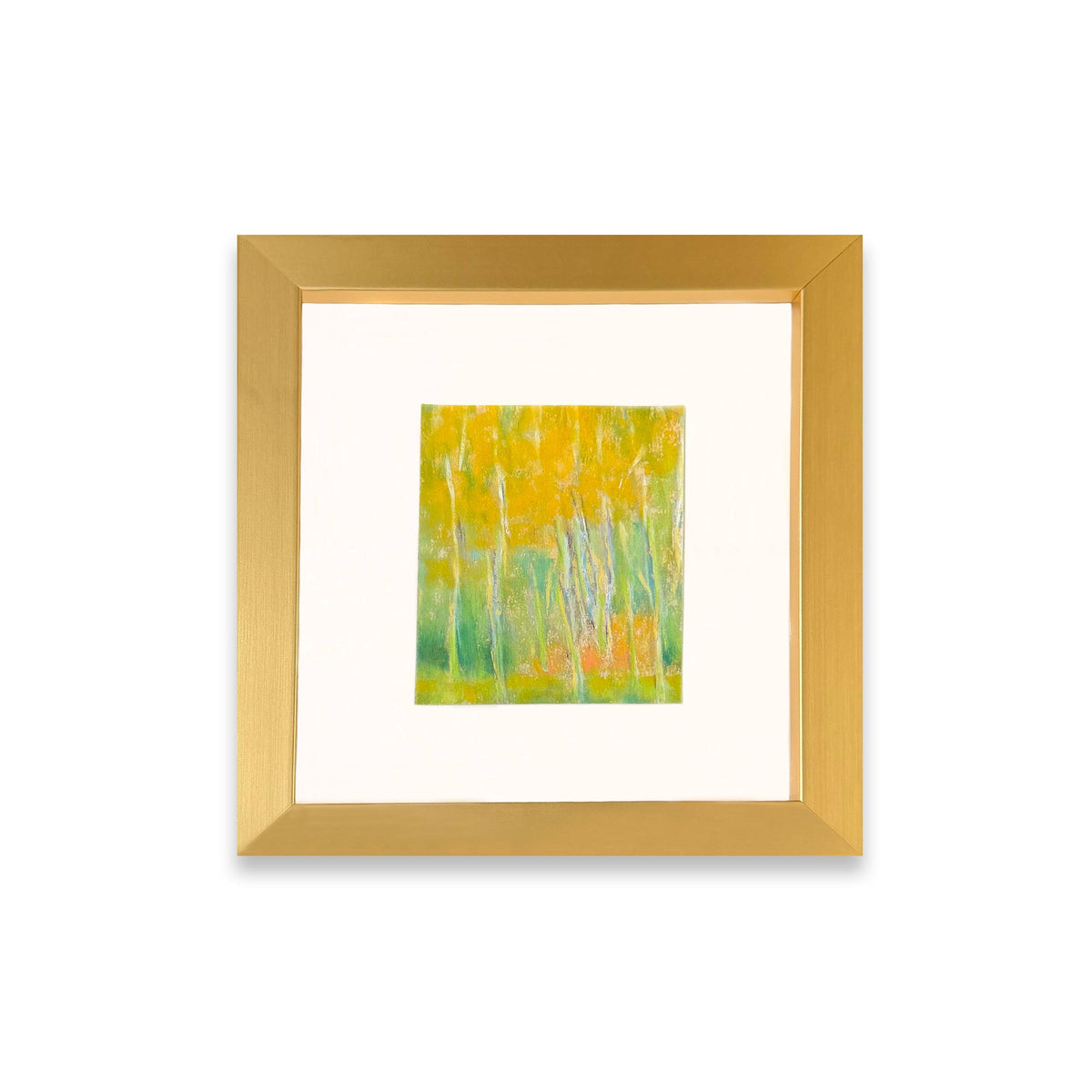 Birch Trees With Golden Leaves