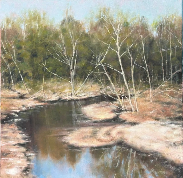 River Birches On The Tallahala