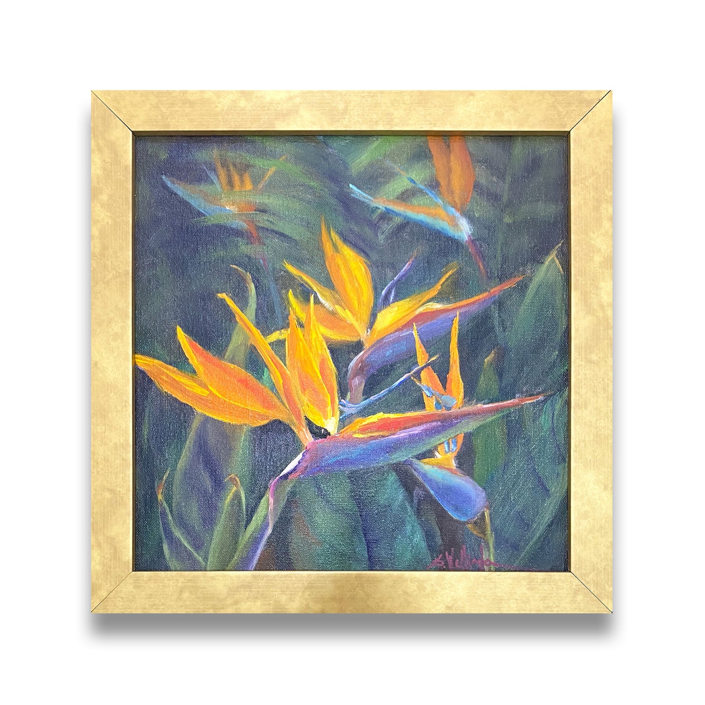 Flowers From My Garden : Birds of Paradise