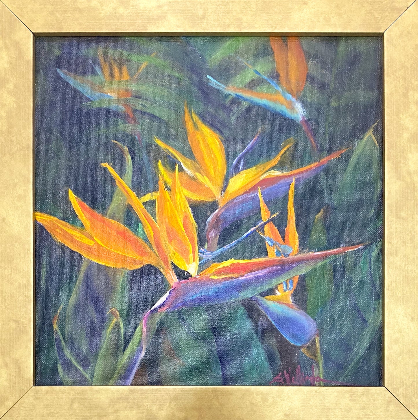Flowers From My Garden : Birds of Paradise