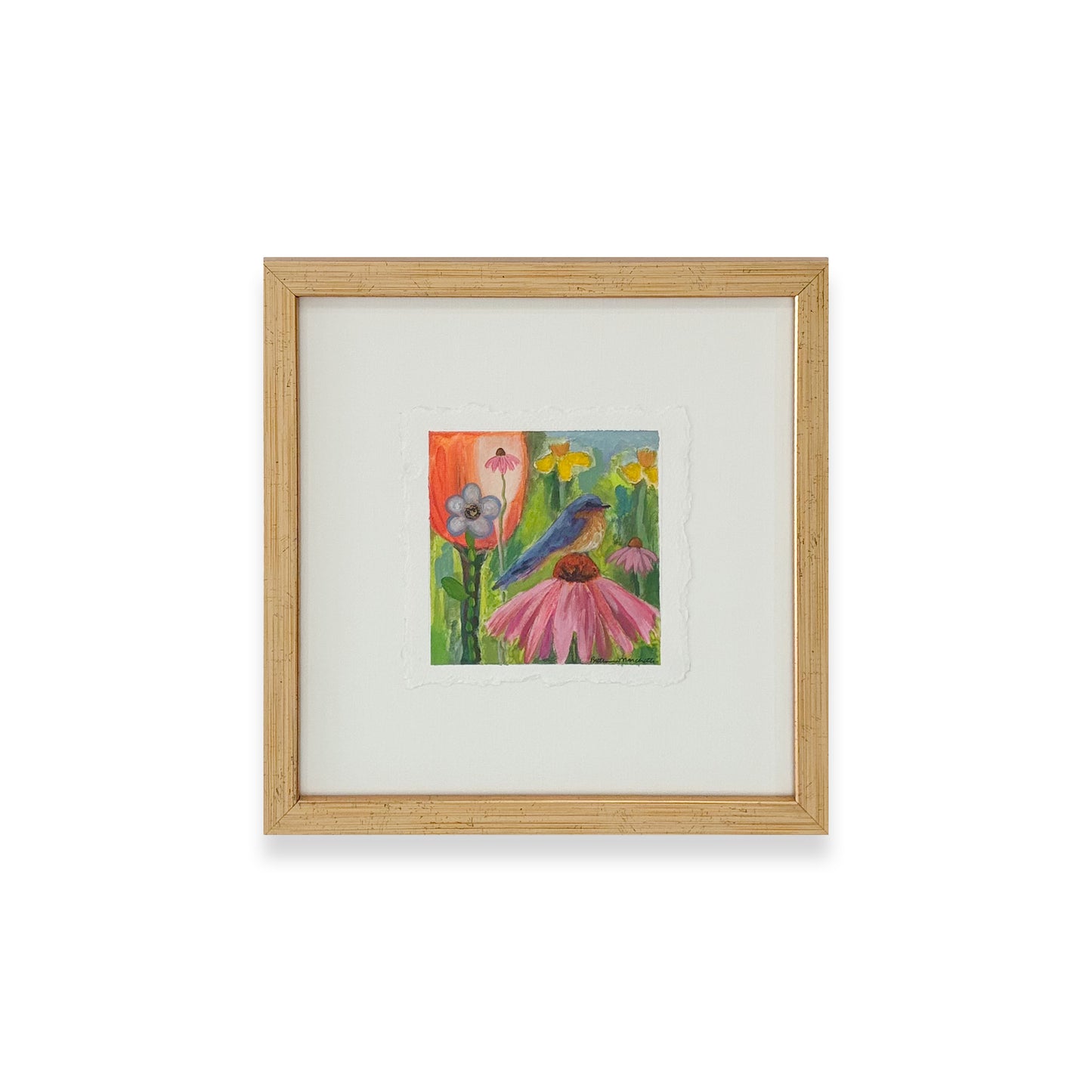 Poppies & Wildflowers - Bluebird on Coneflower