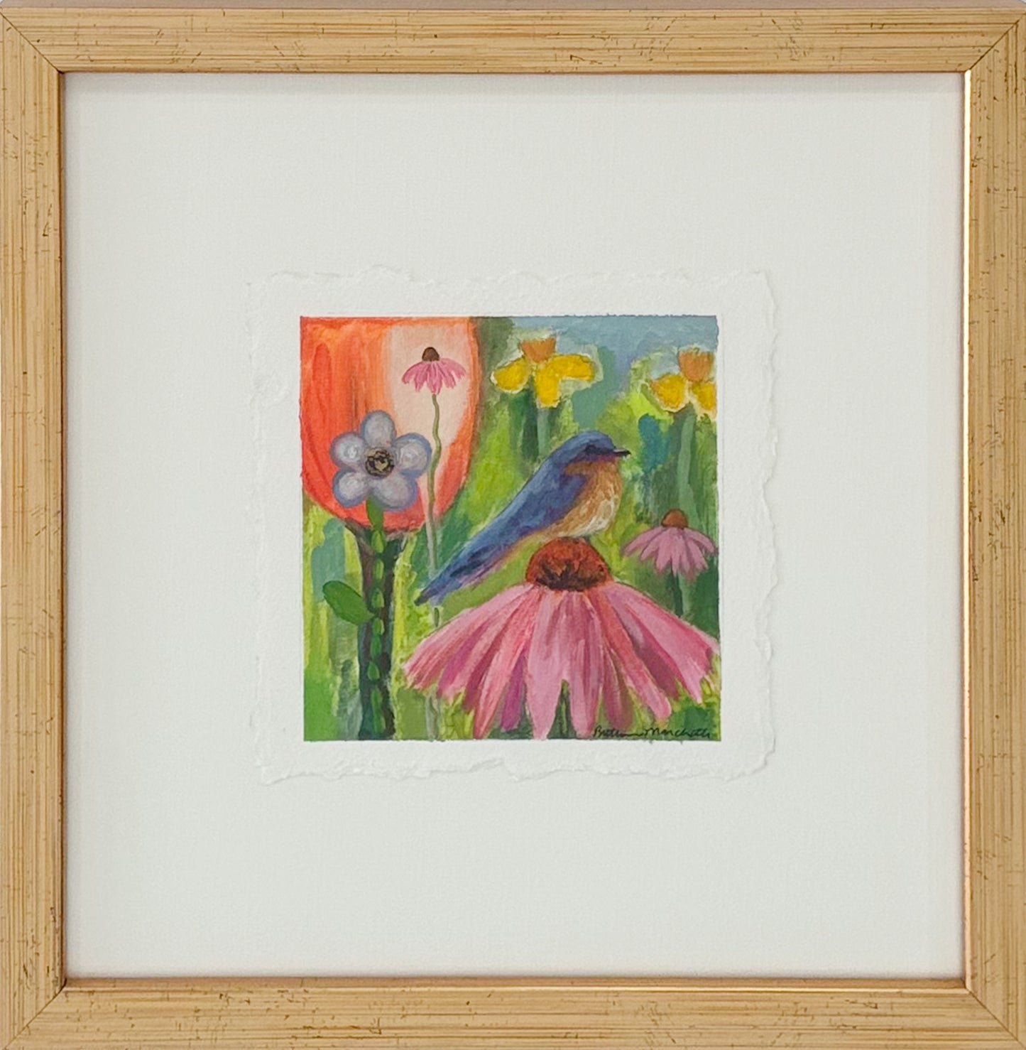 Poppies & Wildflowers - Bluebird on Coneflower