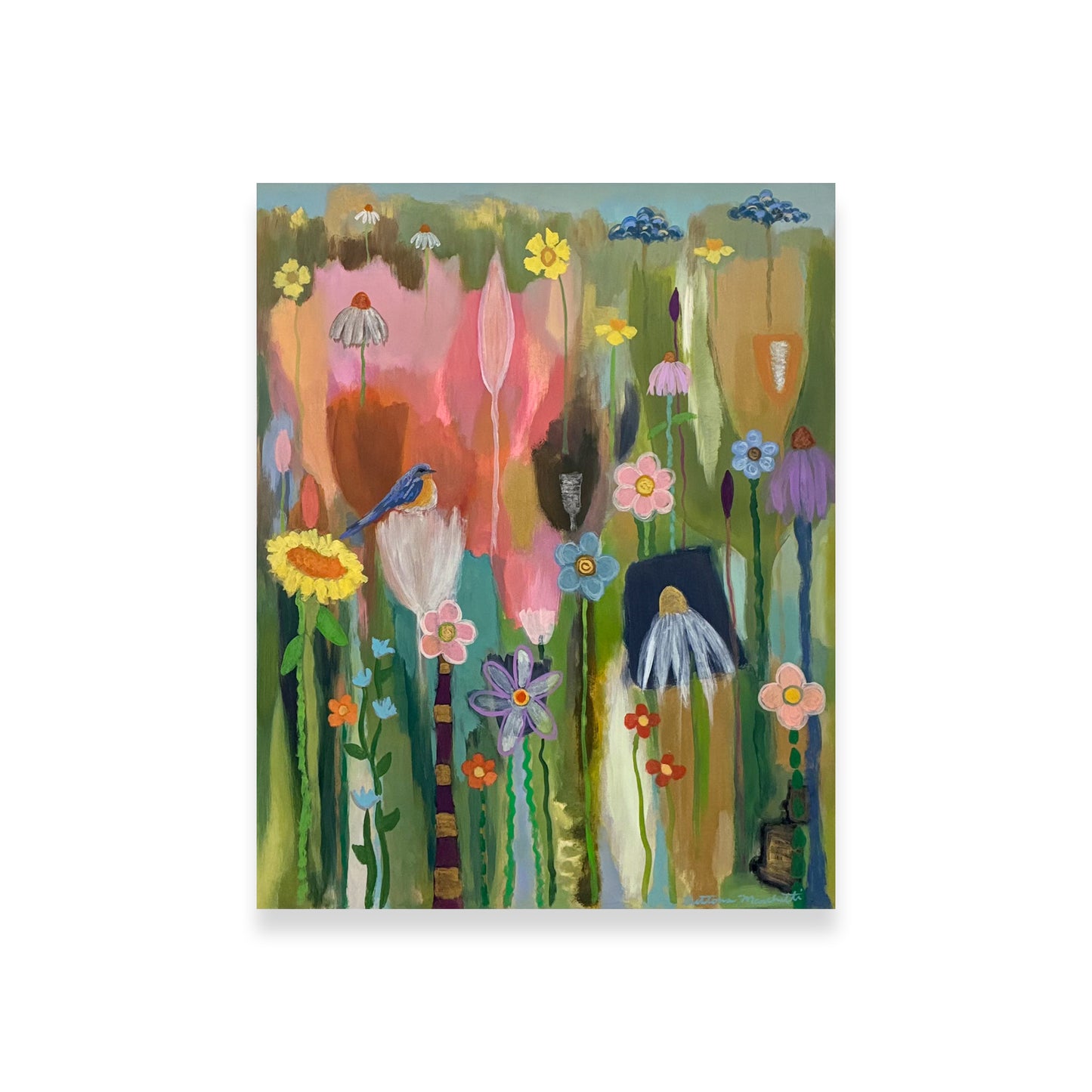 Poppies & Wildflowers -Bluebird On White Tulip