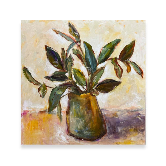 Cast Iron Plant