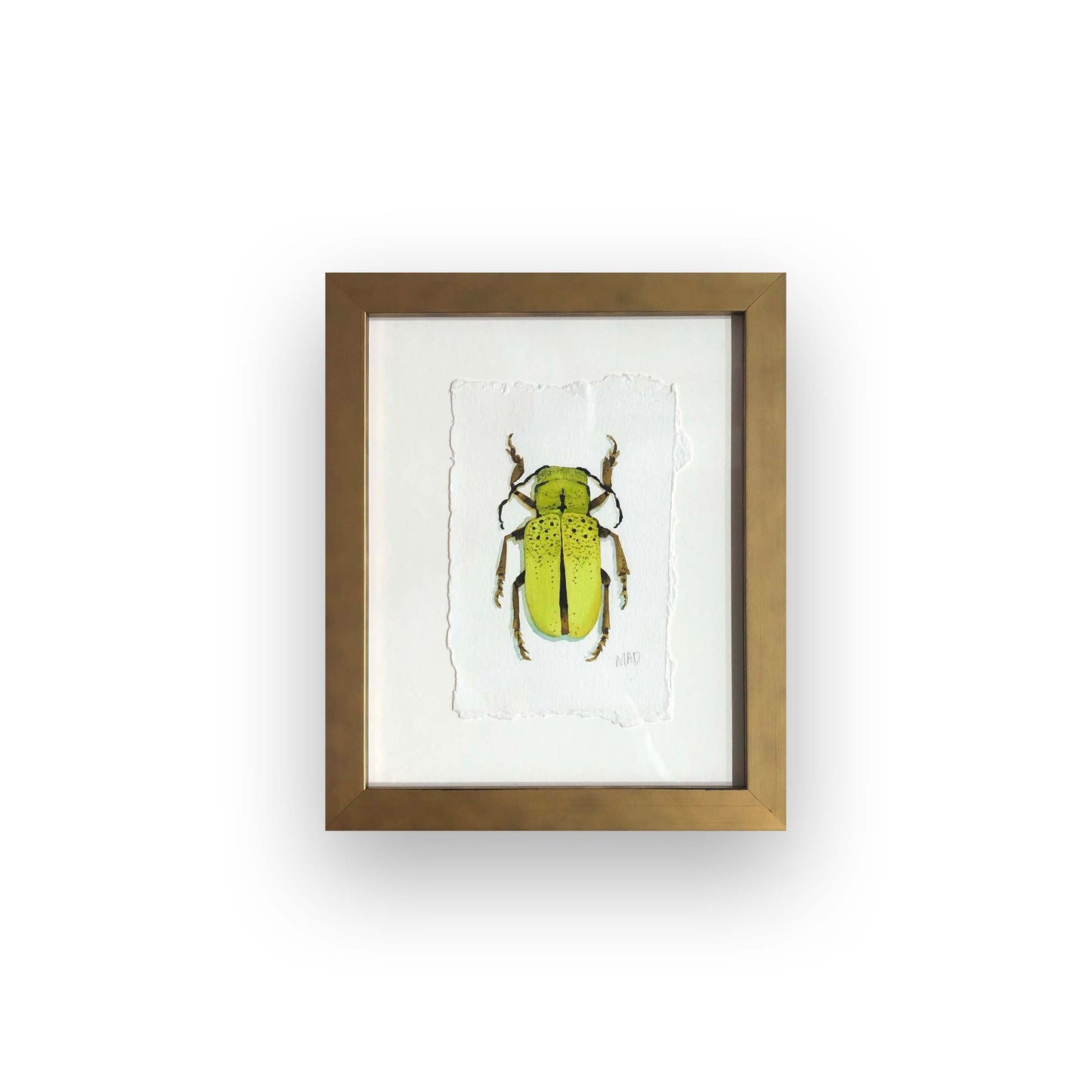 Chartreuse Beetle