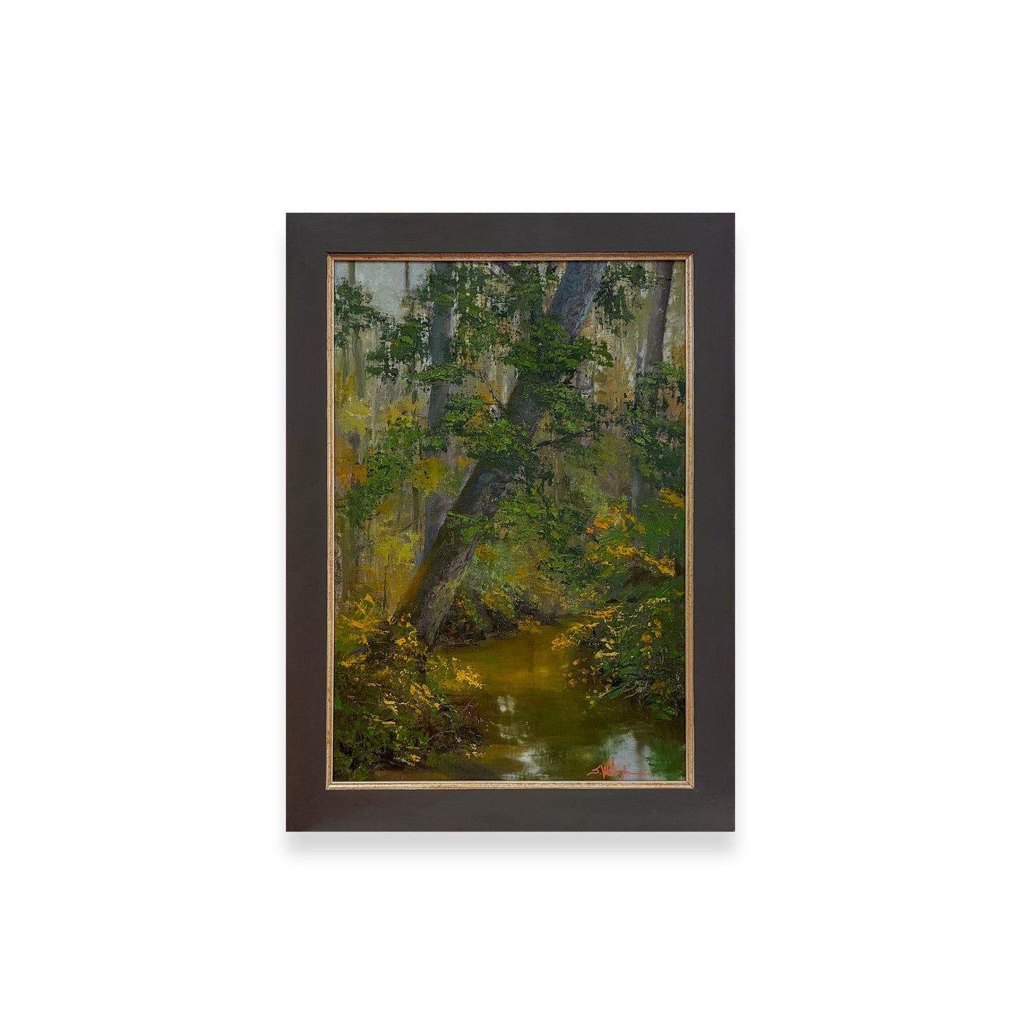 Mississippi: In A Certain Light - Creekside, Overcast Morning