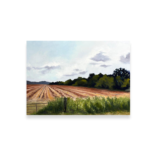 Roadside Mississippi - Cut Corn, Union County, Mississippi