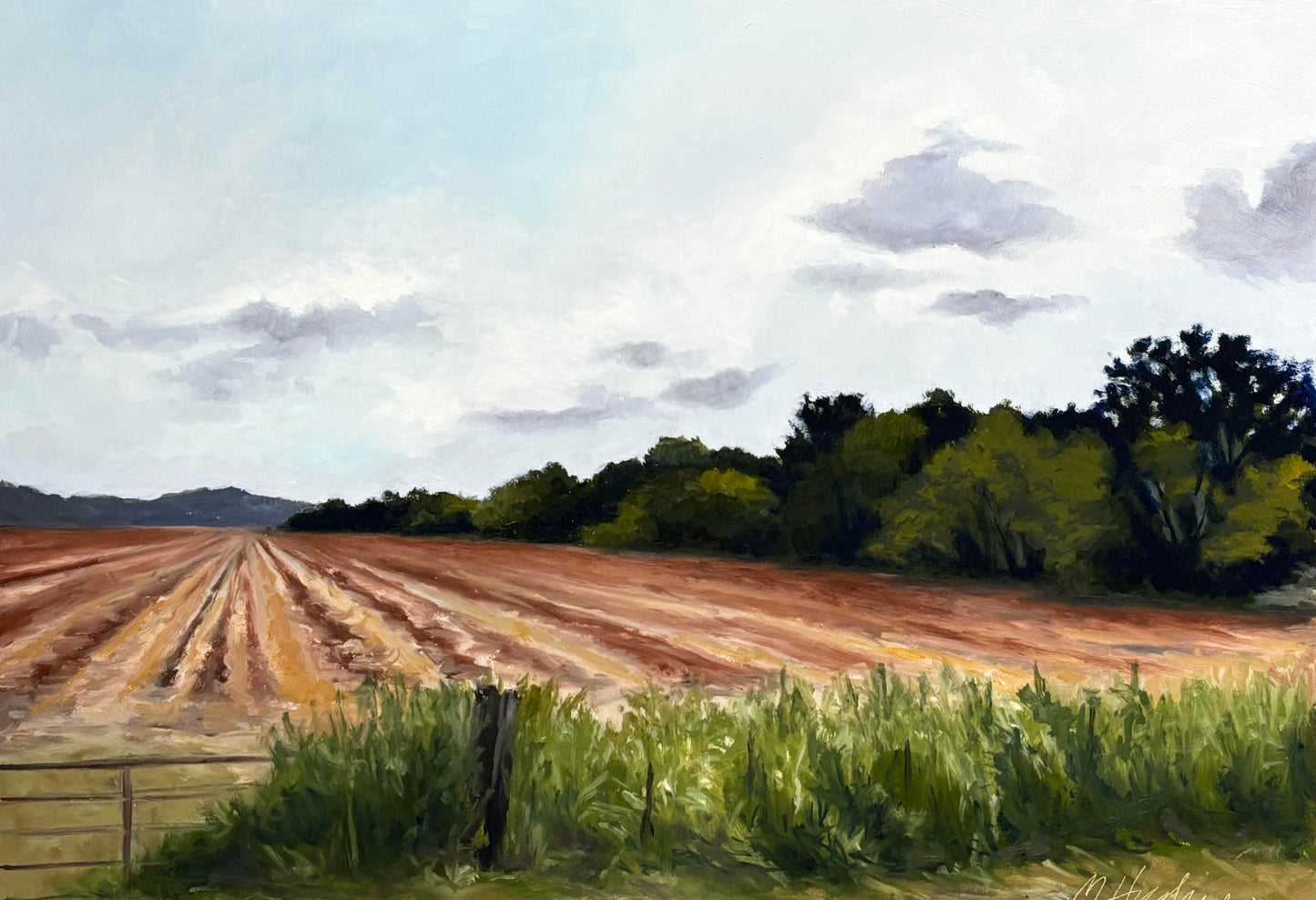 Roadside Mississippi - Cut Corn, Union County, Mississippi