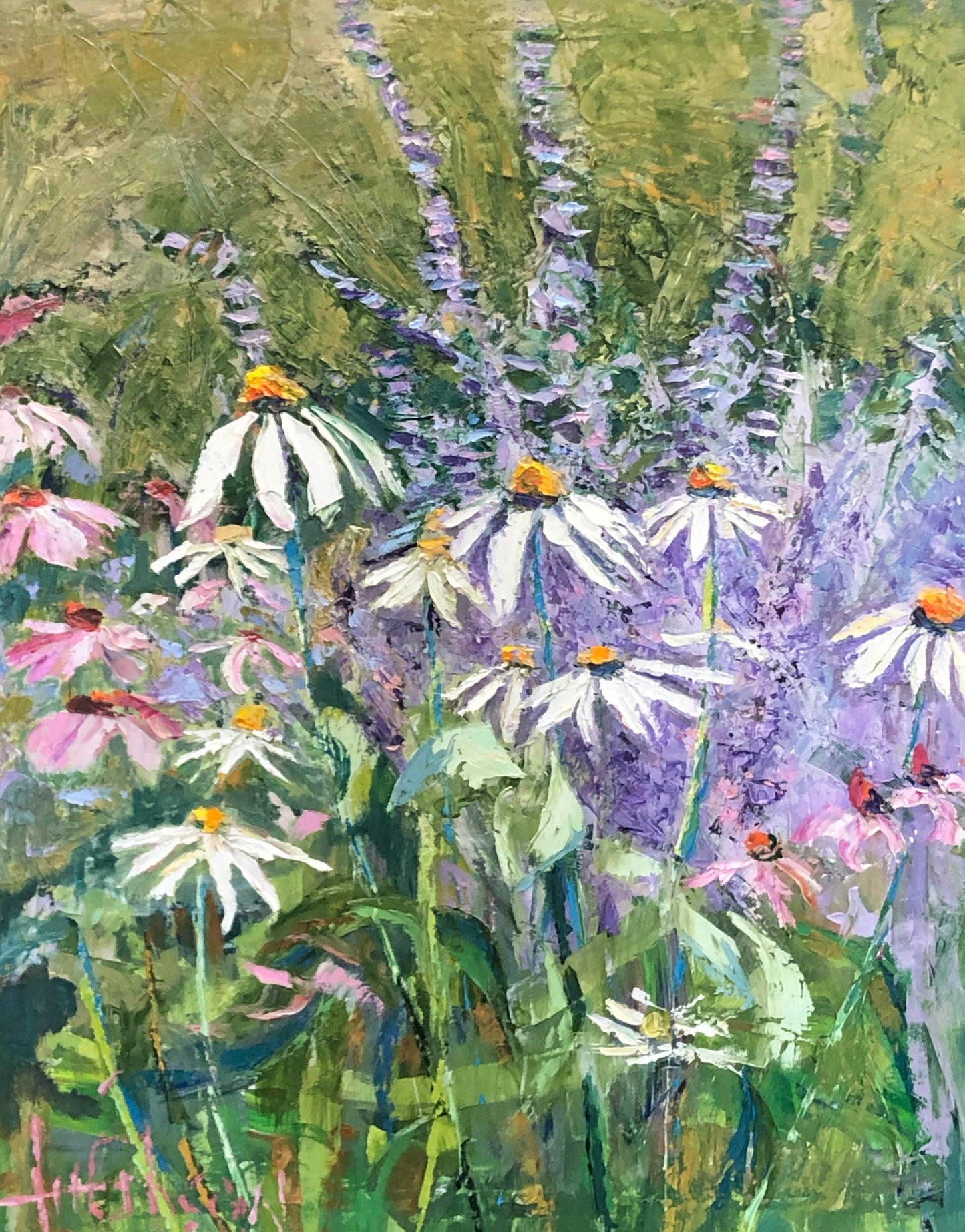 Daisies in the Lavender