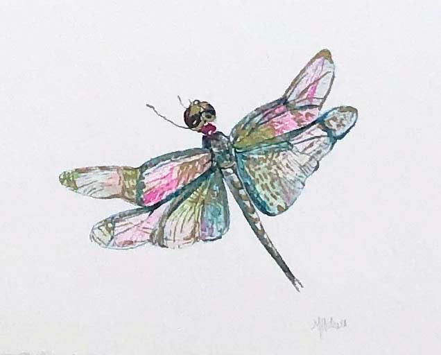 dragonfly wings drawings
