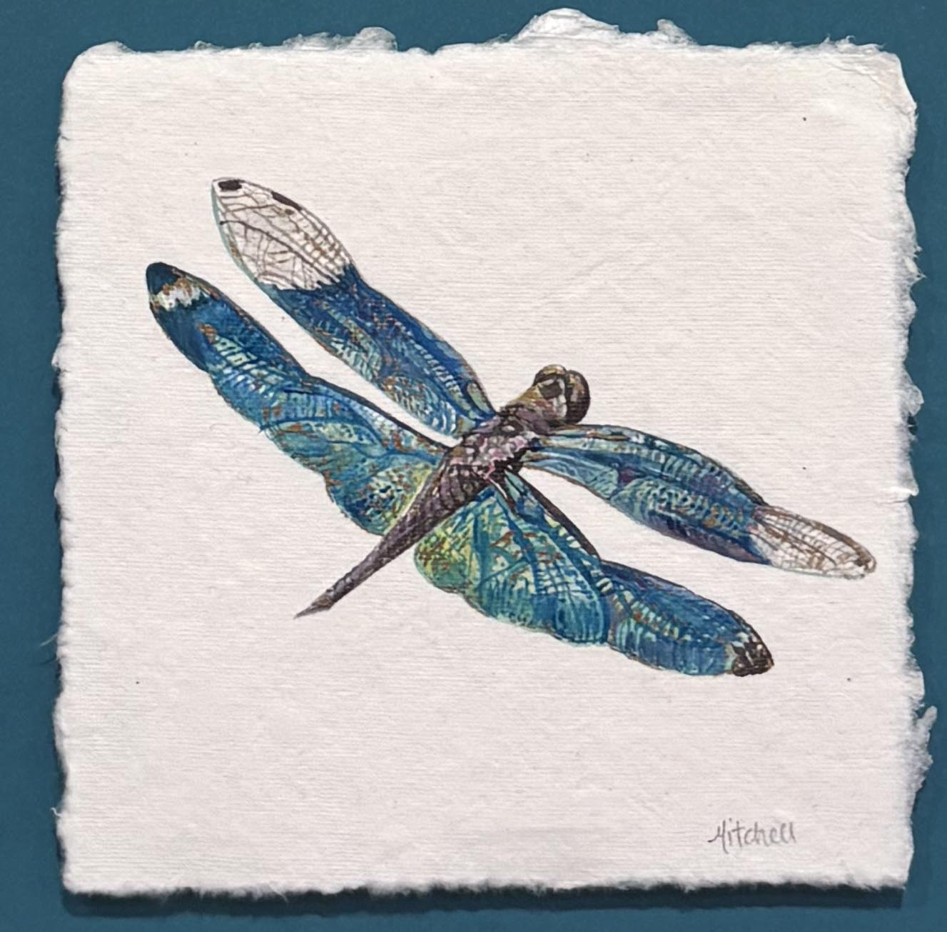 Summer Dragonfly