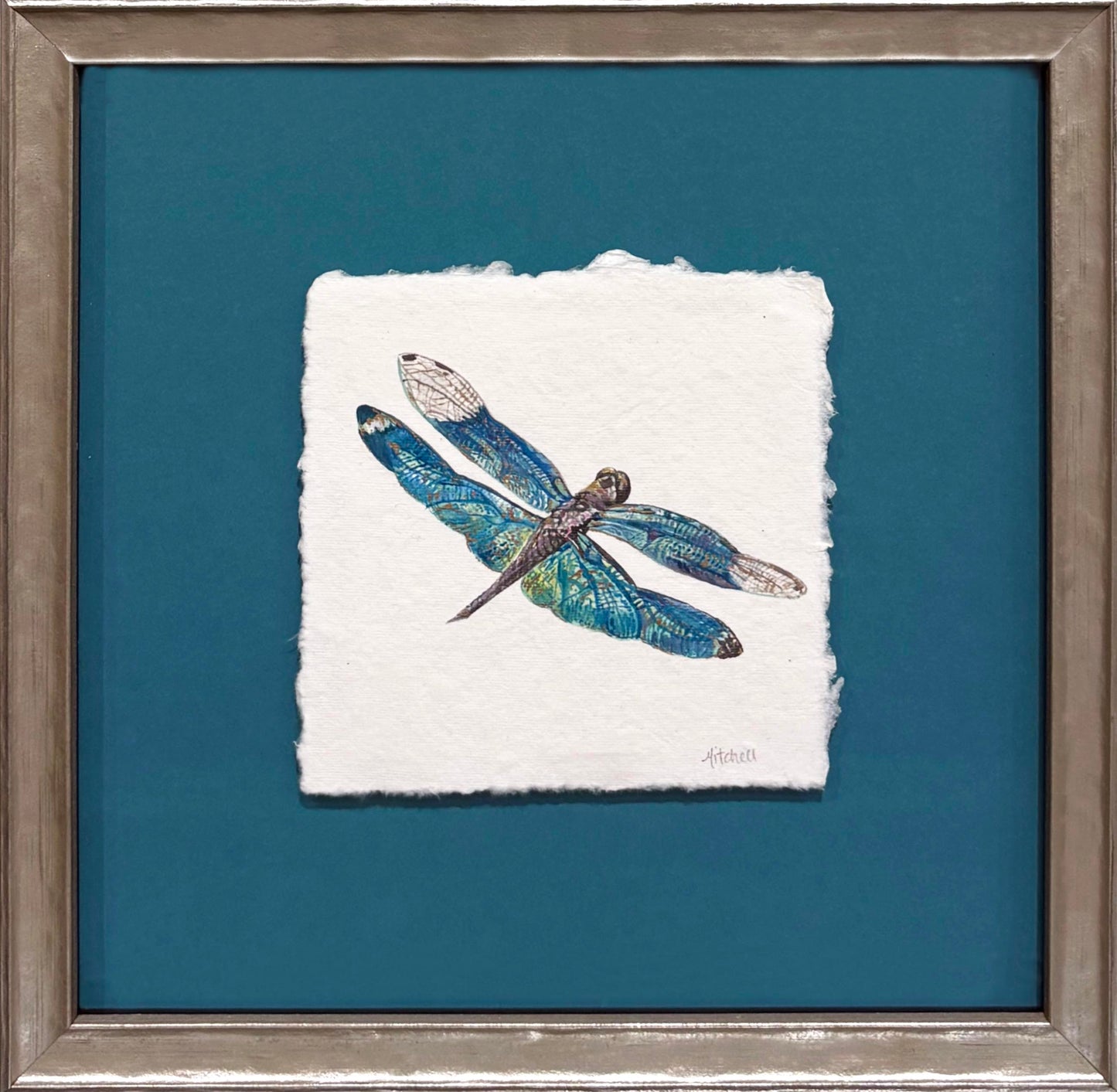 Summer Dragonfly