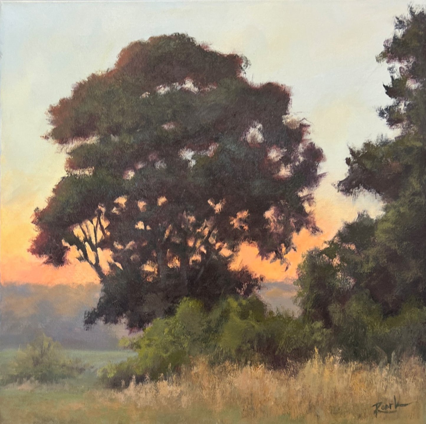 When The Sun Goes Down - Evening Oak