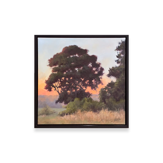 When The Sun Goes Down - Evening Oak