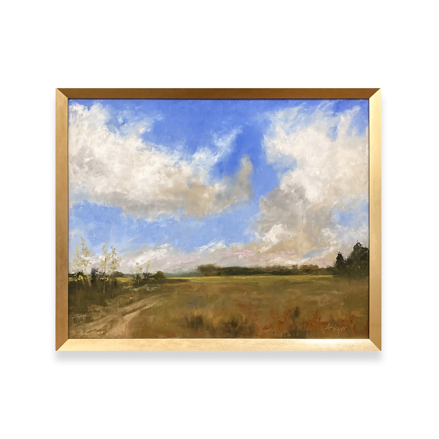 Expansive Skies