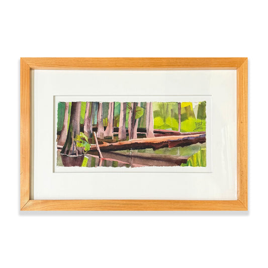 Fallen Cypress/ Chakchiuma Swamp/ May