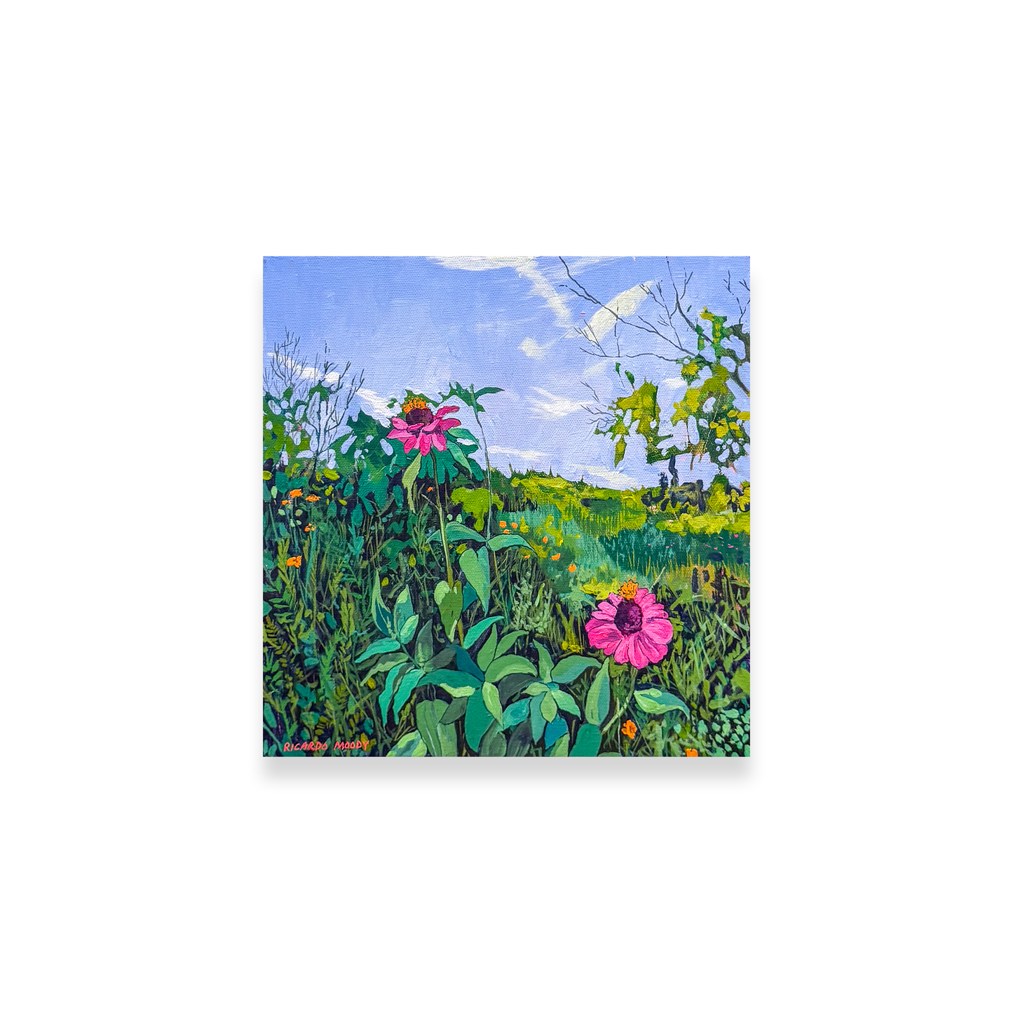 Summer Hymns - Field of Flowers