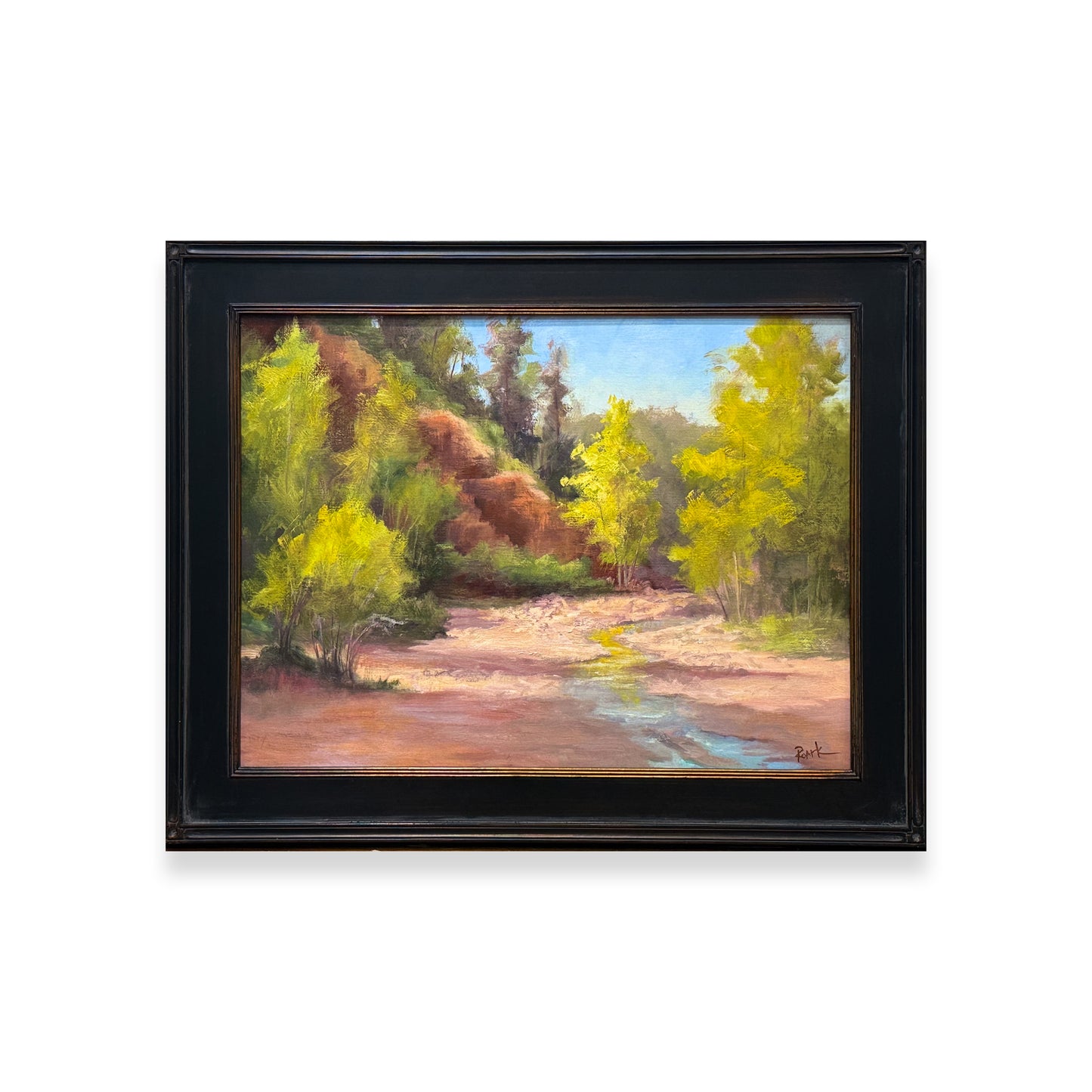 Ghost Ranch Rivulet
