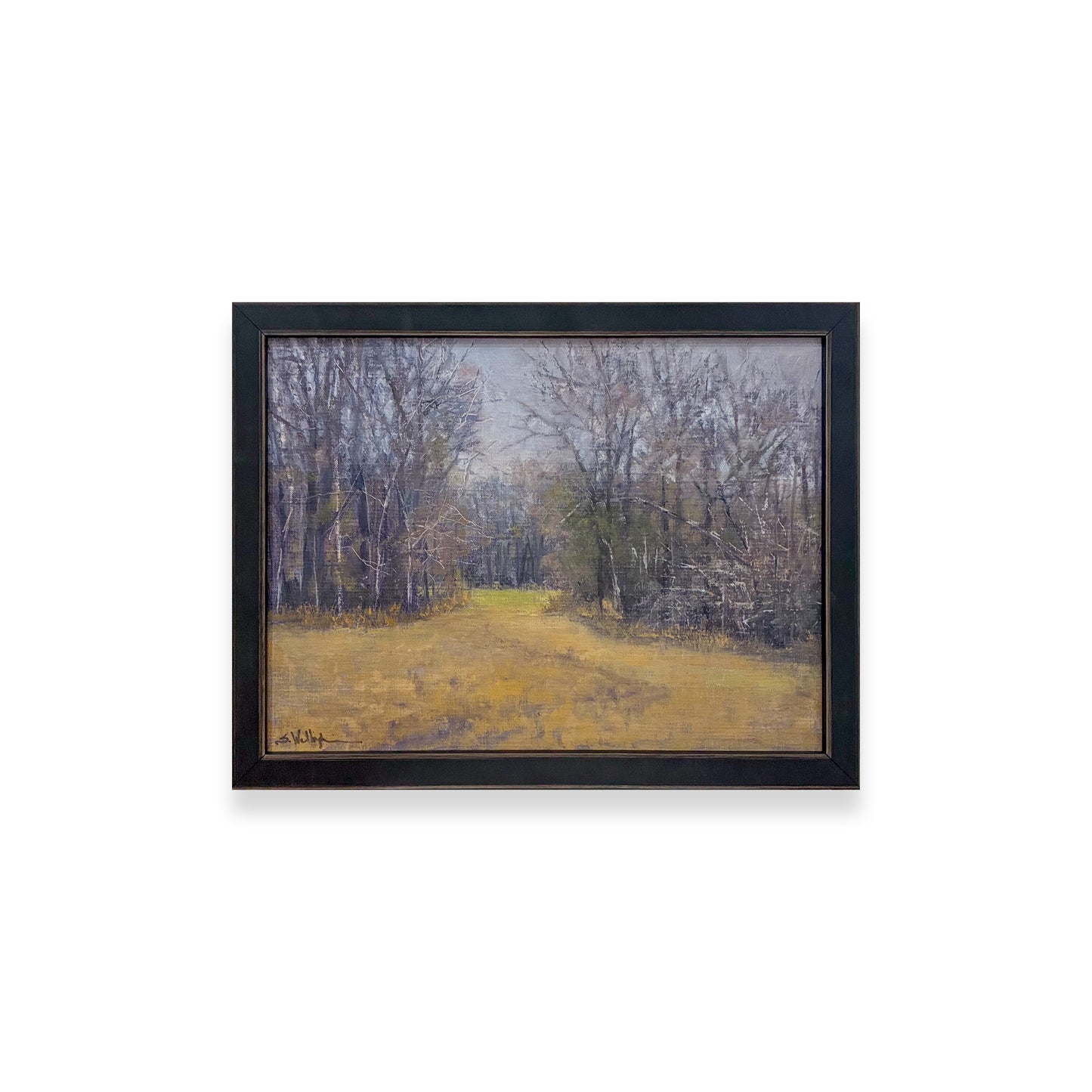 Mississippi: In A Certain Light - Gray Day, Golden Ground