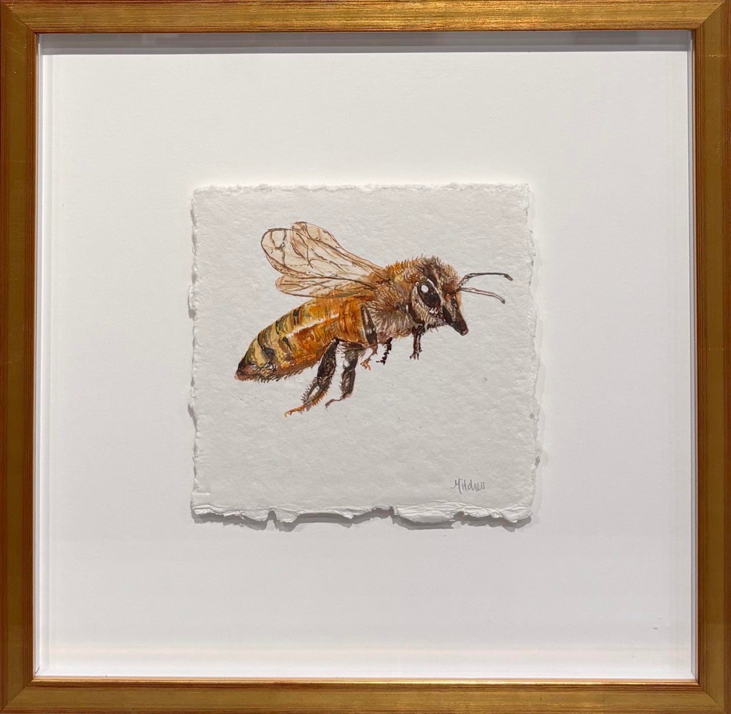 Honey