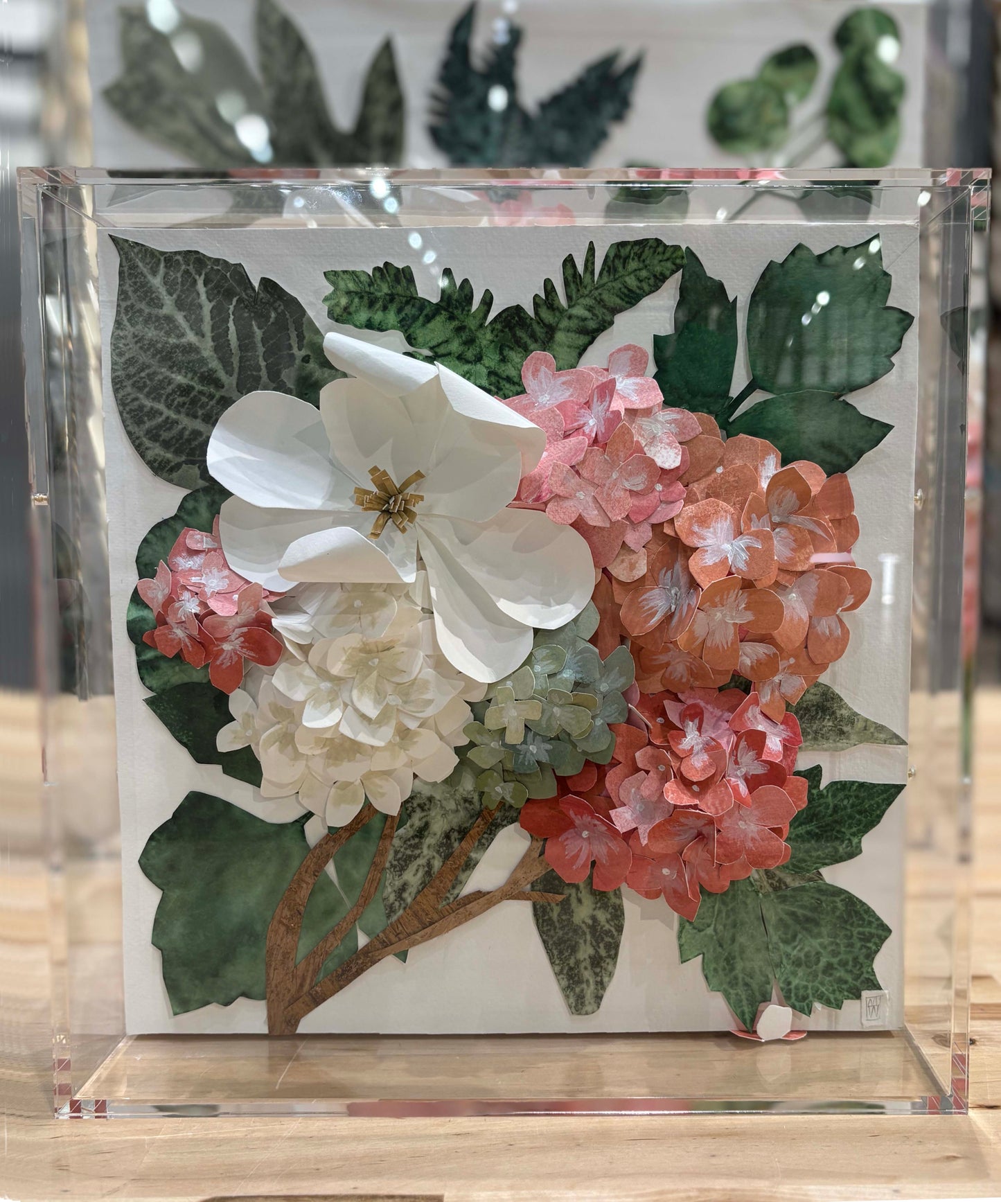 Spring Begins - How They Grow