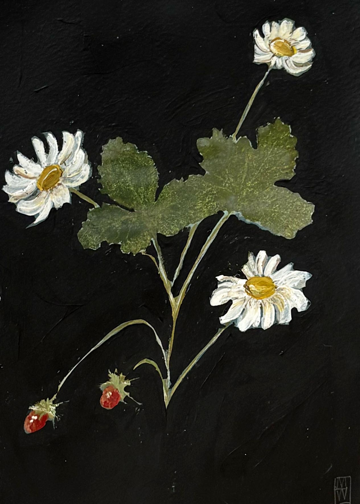 Grandmother's Better Homes and Gardens VIII